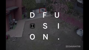 DAVANTIS DFUSION -Impressive Detection of an Intruder