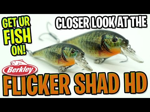 Berkley Flicker Shad - NEW Shallow Water Bass Fishing Crankbait