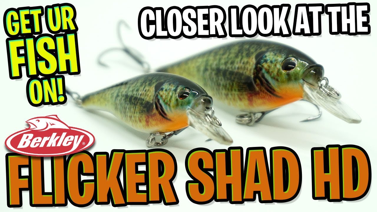 Berkley Flicker Shad - NEW Shallow Water Bass Fishing Crankbait Lure 