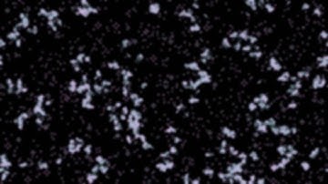 High Frame Rate FFmpeg Game Of Life Filter Effect