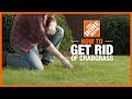 How to Get Rid of Crabgrass | Lawn Care and Maintenance | The Home Depot