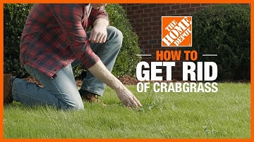 How to Get Rid of Crabgrass | Lawn Care and Maintenance | The Home Depot