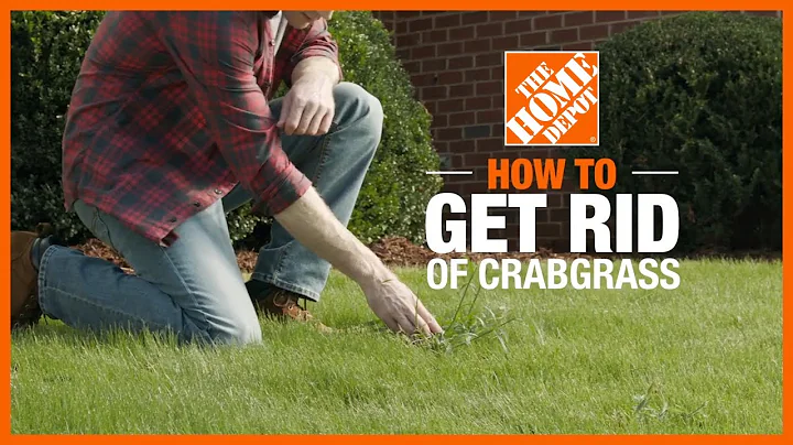 How to Get Rid of Crabgrass | Lawn Care and Maintenance | The Home Depot