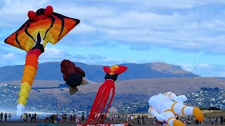 Kite Day 2021 | New Brighton Beach, Christchurch, New Zealand | 30th January 2021