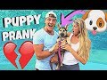 Surprising My Girlfriend With A PUPPY PRANK