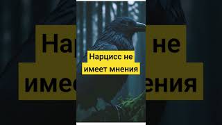 У #Нарцисса  Нет Ценностей И Мнений Ни По Какому Вопросу #Абьюз #Психология