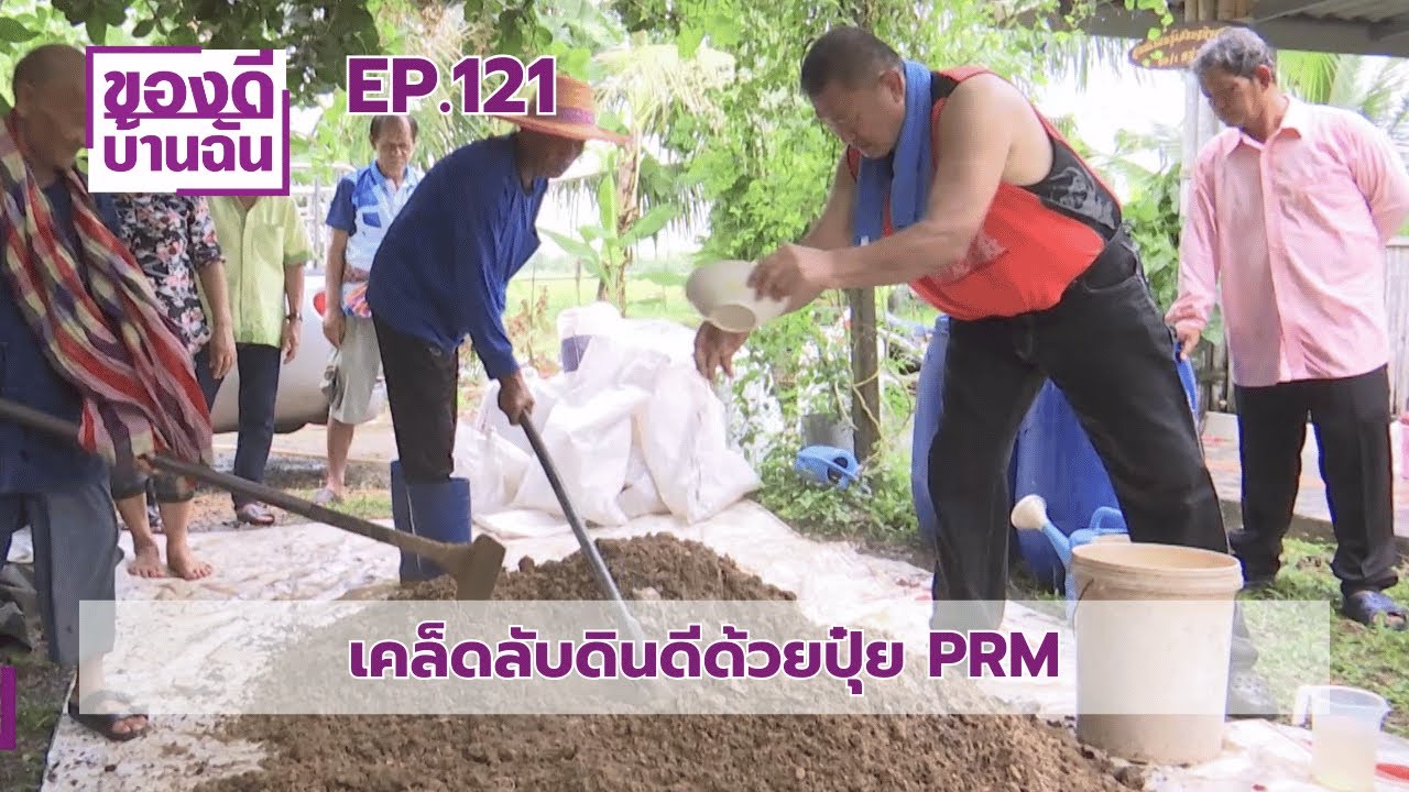 รายการของดีบ้านฉัน EP.121 ตอน เคล็ดลับดินดีด้วยปุ๋ย PRM