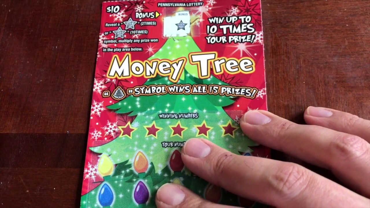 10 Money Tree Pa Lottery Scratch Off Ticket Youtube - 10 money tree pa lottery scratch off ticket