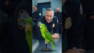 Funny Parrot