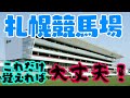 【札幌競馬場攻略】距離別の強めの特徴を徹底解説　馬券に役立つ有利な脚質、騎手、血統など買い方を攻略