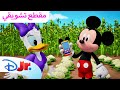 تحضير البيتزا     ميكي ينادي يحيا النادي      ديزني جونيور بالعربي سمعها
