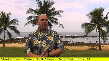 Sales basics mastery - Have empathy to close more sales (*Bonus* 21 of 20) Scott Sylvan Bell