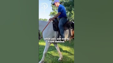 How To Get A Fluid Sidepass! Part 9! | The Horse Guru-Michael Gascon