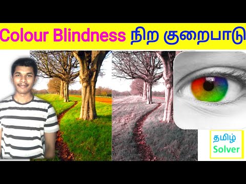 நிறக்குருடு Colour Blindness| கண் பார்வை குறைபாடு | TAMIL SOLVER