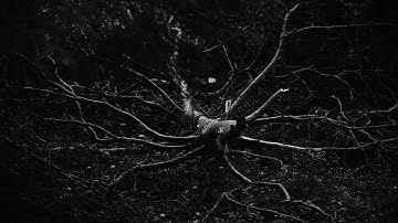 Soul Gutter - Bird of Prey (Official Music Video)