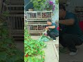 Do you ever dream of a simple, idyllic life in your own backyard, harvesting