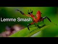 Lemme Smash - Mantis and Spider Edition