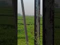 #shortvideo #ddd
