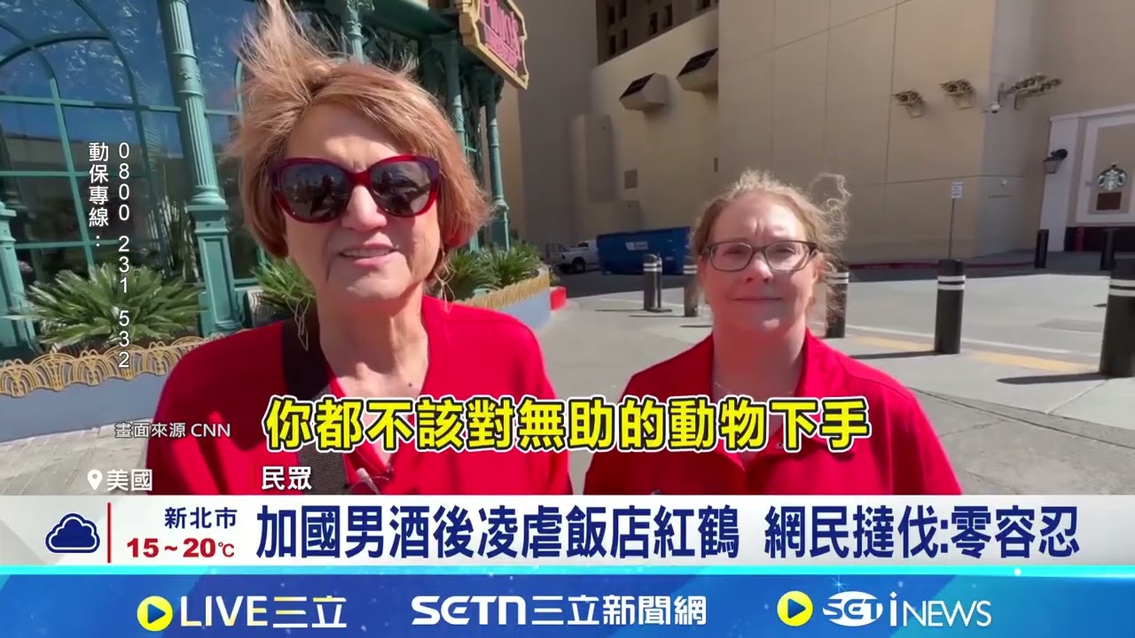 加國男酒後凌虐飯店紅鶴 虐紅鶴辯稱