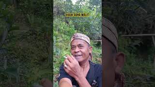 ini lagi diguha walet, #subscribe #shortvideo #shorts #reels #fyp #adventure