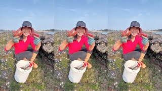 Fishing Village Ayao || Seafood crab fishing P017