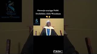 Download Lagu shekh Ismael sulaiman nkata MP3