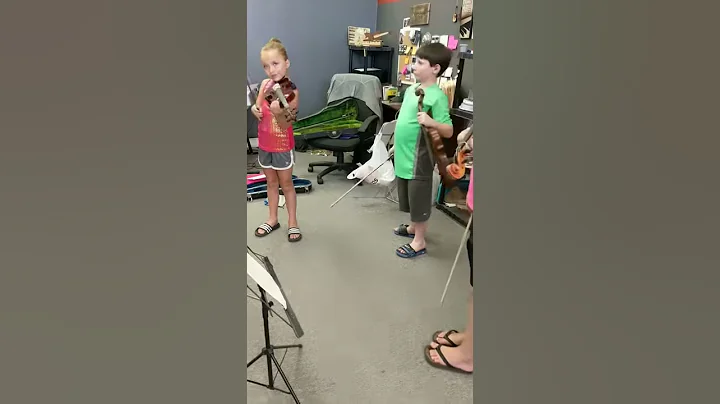 Violin