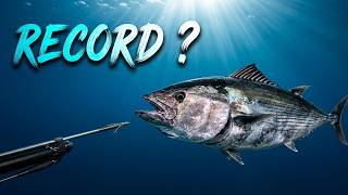 BONITE RECORD DU MONDE 12 KG 🤯 | Prise Exceptionnelle en Chasse Sous-Marine 🎯 | #recorddumonde