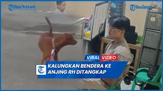 Kalungkan Bendera Merah Putih ke Leher Anjing RH Ditangkap Polisi