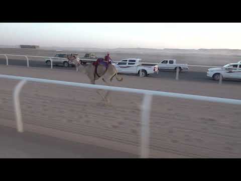 ادهم لـ مطير سالم العطوي