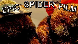 Epic Spider Puppet Short Film