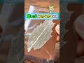 【驚愕】葉っぱを洗浄剤で煮た結果がヤバい #実験