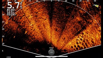Garmin Livescope: LVS34 Perspective Mode Video and Thoughts