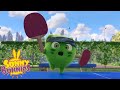 SUNNY BUNNIES Ping Pong Powers Season 2 Cartoons For Children 