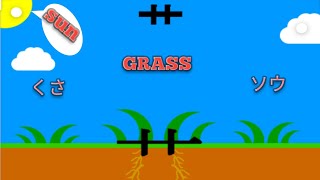 Learn One Kanji Everyday 草