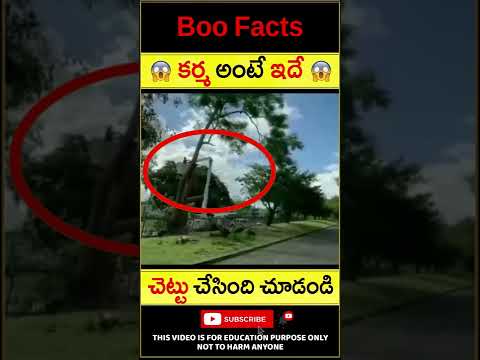 😱కర్మ అంటే ఇదే😱 Karma Is Faster Than 2 minutes noodles #shorts #youtubeshorts #boo #boofacts #tree