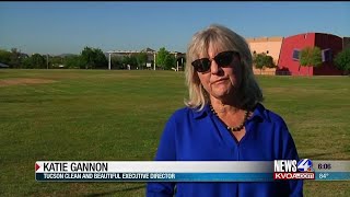 New litter hotline makes it easier to report, ADOT says