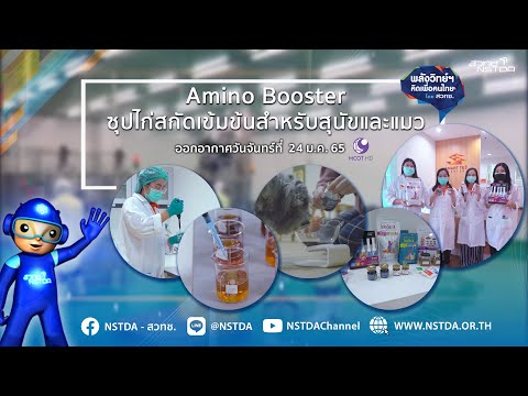 พลังวิทย์ คิดเพื่อคนไทย ตอน Amino Booster ซุปไก่สกัดเข้มข้นสำหรับสุนัขและแมว