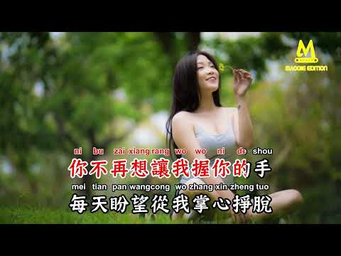 对你说 - 王筝【备有清晰版伴奏视频】
