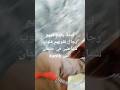 لا تود ان تعرف ايسمي نوم