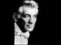 Strauss - Leonard Bernstein Cassette