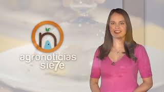 TITULARES AGRONOTICIAS sie7e PROGRAMA 289