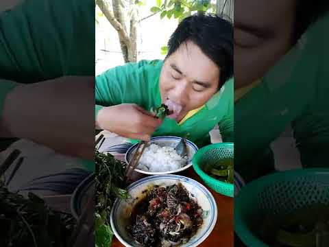 Video mắm cá lóc chiên ăn với cơm là chỉ có hết nồi thôi - youtube