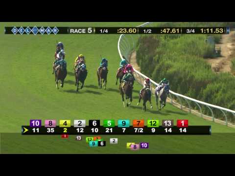 Race 5 Thumbnail