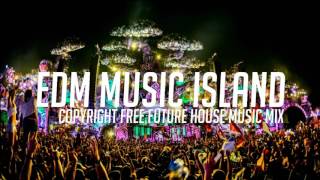 ✨ #1 2017 Best ✨ COPYRIGHT FREE Future House & Progressive House Gaming Music Mix✨ M U T R I S T I K