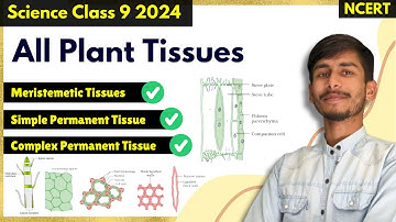 Part 1| Tissues : All Plant Tissues Class 9th Science | Chapter 6 Tissues class 9 science NCERT