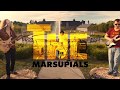 The Marsupials - Mojo Kitchen | Michigan Music Videos