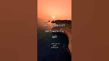 لا تمدن عينيك إلى ما متعنا به أزواجا منهم ولا تحزن عليهم / سورة الحجر / الشيخ هزاع البلوشي
