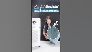 Lõi lọc máy lọc không khí “siêu bẩn” sau 1 tháng sử dụng?