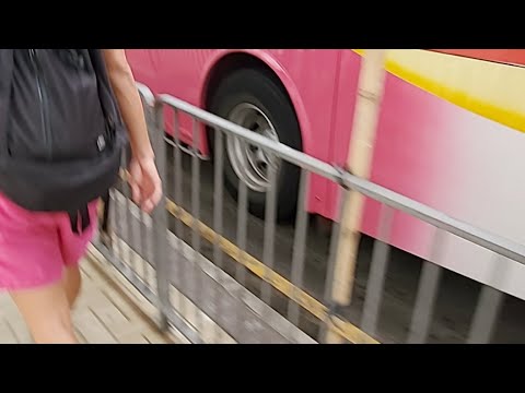 「直播」油尖旺區學校人鏈 反送中 维基
